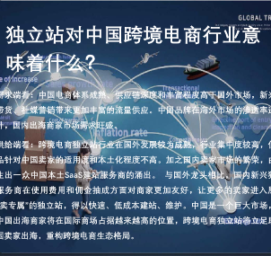 【头豹研究院】独立站对中国跨境电商行业意味着什么？ 