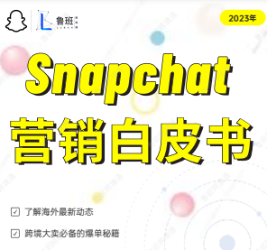 《Snapchat营销白皮书：掌握社交媒体营销新趋势》