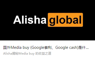 国外Media buy (Google套利、Google cash)是什么项目？