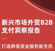 《2023新兴市场外贸B2B支付洞察报告》