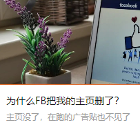 为什么FB把我的主页删了？