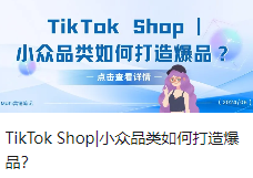 TikTok Shop|小众品类如何打造爆品？