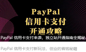 PayPal 信用卡支付来袭，独立站开通指南全揭秘丨出海笔记