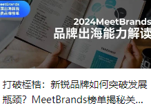 打破桎梏：新锐品牌如何突破发展瓶颈？MeetBrands榜单揭秘关键举措