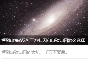 短剧出海W2A 三方归因和自建归因怎么选择