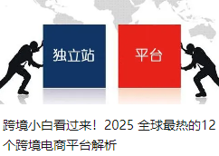 跨境小白看过来！2025 全球最热的12个跨境电商平台解析