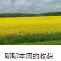 聊聊本周的收获