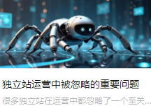 獨(dú)立站運(yùn)營中被忽略的重要問題