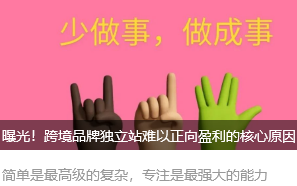 曝光！跨境品牌獨(dú)立站難以正向盈利的核心原因