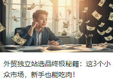 外贸独立站选品终极秘籍：这3个小众市场，新手也能吃肉！