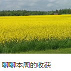 聊聊本周的收获