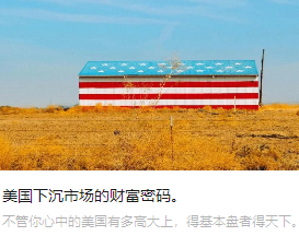 美国下沉市场的财富密码。