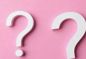 贸易公司VS工厂的生存突围战，独立站有何妙用？