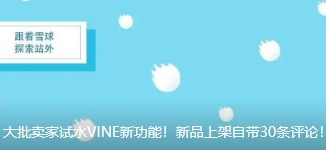 大批卖家试水VINE新功能！新品上架自带30条评论！