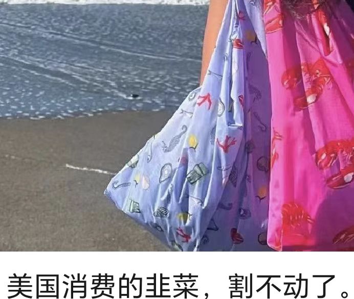 美国消费的韭菜，割不动了。