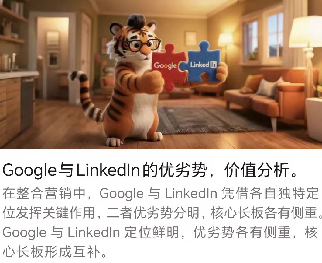 Google與LinkedIn的優(yōu)劣勢(shì)，價(jià)值分析。