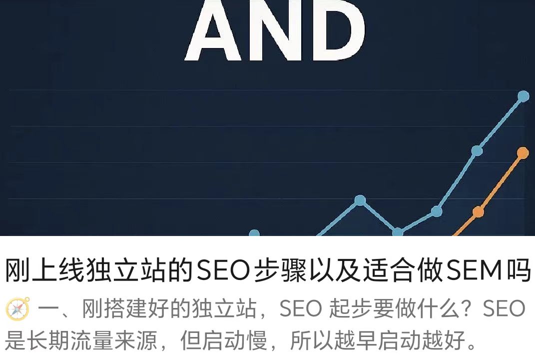剛上線獨立站的SEO步驟以及適合做SEM嗎