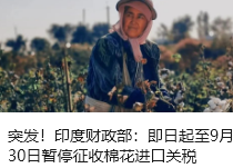 突发！印度财政部：即日起至9月30日暂停征收棉花进口关税