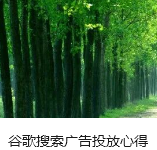 谷歌搜索广告投放心得