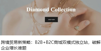 跨境贸易新策略：B2B+B2C商城双模式独立站，破解企业增长难题