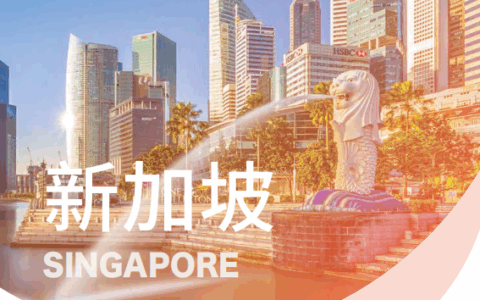 人在国内，轻松注册新加坡公司+远程开户+绑定Stripe/Wise收款教程来了！