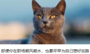即便你在职场顺风顺水，也要尽早为自己想好后路：