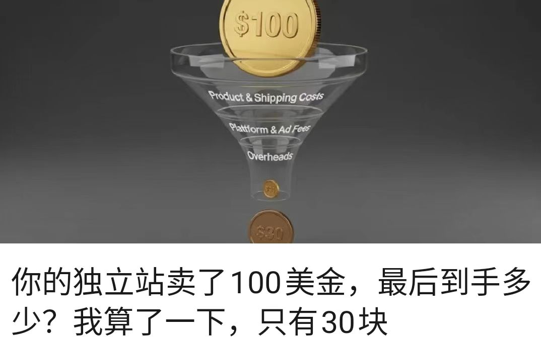 你的独立站卖了100美金，最后到手多少？我算了一下，只有30块