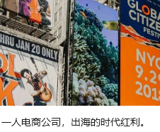 一人电商公司，出海的时代红利。