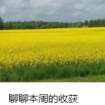 聊聊本周的收获