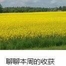 聊聊本周的收获