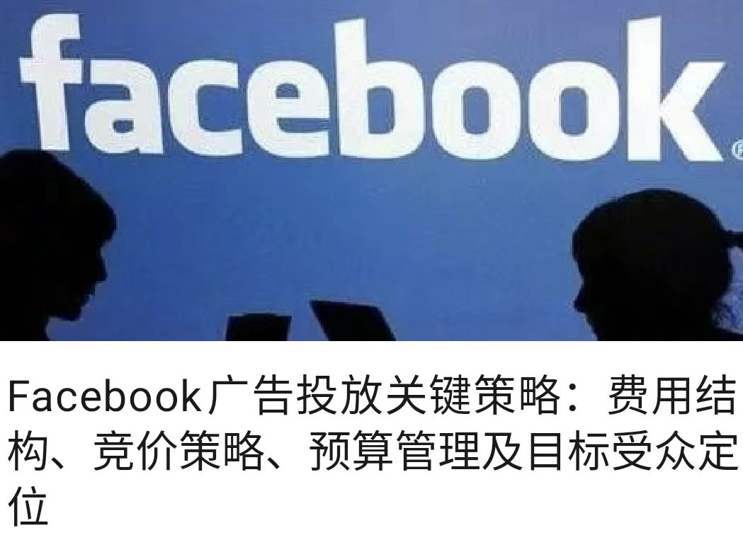 Facebook广告投放关键策略：费用结构、竞价策略、预算管理及目标受众定位