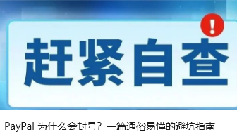 PayPal 为什么会封号？一篇通俗易懂的避坑指南