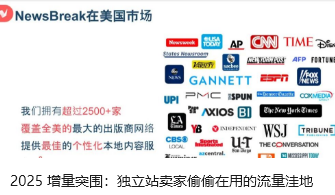 2025 增量突圍：獨立站賣家偷偷在用的流量洼地