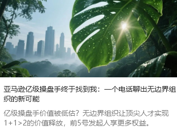 亚马逊亿级操盘手终于找到我：一个电话聊出无边界组织的新可能