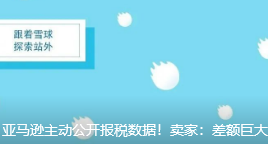 亚马逊主动公开报税数据！卖家：差额巨大