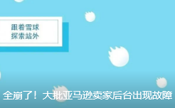 全崩了！大批亚马逊卖家后台出现故障