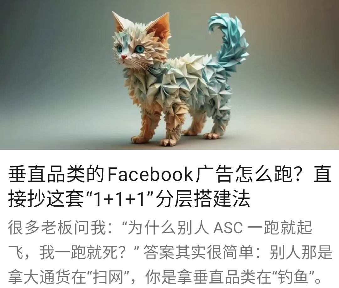 垂直品类的Facebook广告怎么跑？直接抄这套“1+1+1”分层搭建法