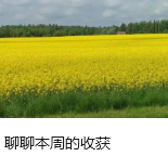 聊聊本周的收获