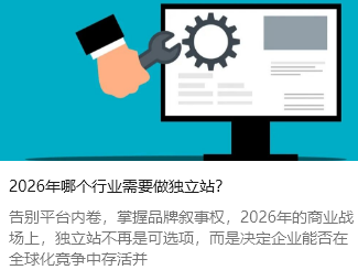 2026年哪个行业需要做独立站？