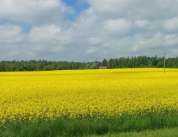 Hero 区域怎么优化