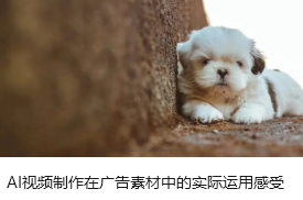 AI视频制作在广告素材中的实际运用感受