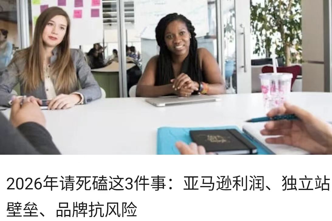 2026年请死磕这3件事：亚马逊利润、独立站壁垒、品牌抗风险