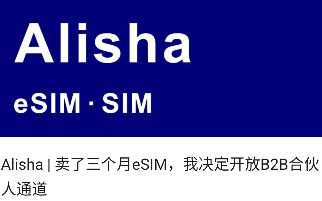 Alisha | 卖了三个月eSIM，我决定开放B2B合伙人通道