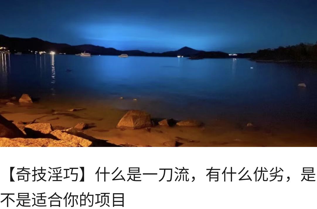 【奇技淫巧】什么是一刀流，有什么优劣，是不是适合你的项目