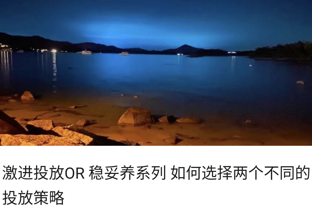 激进投放OR 稳妥养系列 如何选择两个不同的投放策略