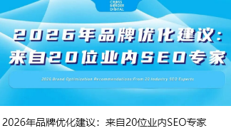 2026年品牌优化建议：来自20位业内SEO专家