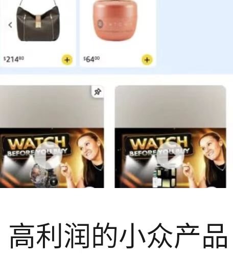 高利润的小众产品