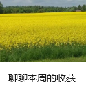 聊聊本周的收获