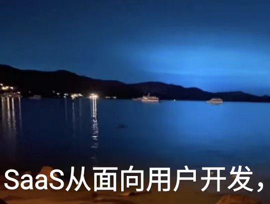 SaaS从面向用户开发，变成面向AI开发。