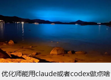 优化师能用claude或者codex做点啥